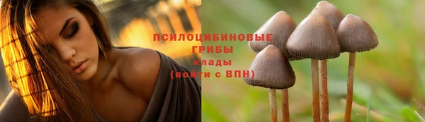 стафф Кулебаки