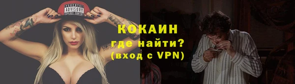 стафф Кулебаки